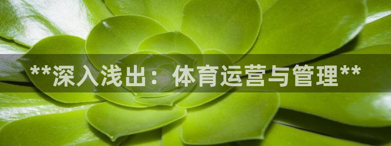 必一体育登录入口APP