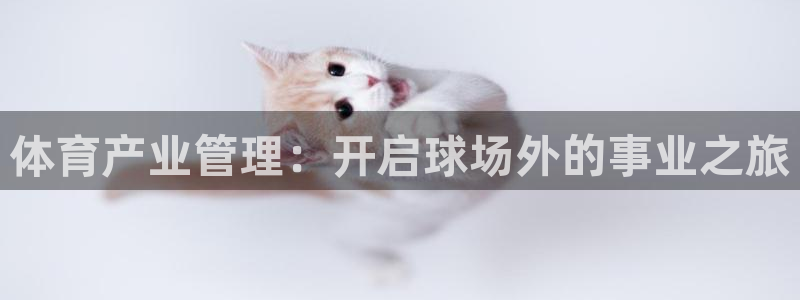 必一体育app下载最新版本苹果