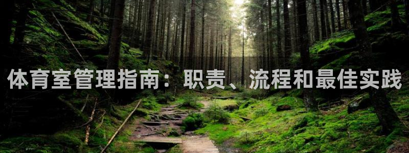 必一体育怎么下载