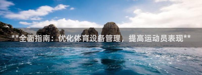 必一体育官网入口：*