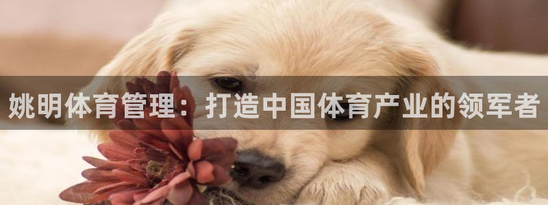 必一体育bsport