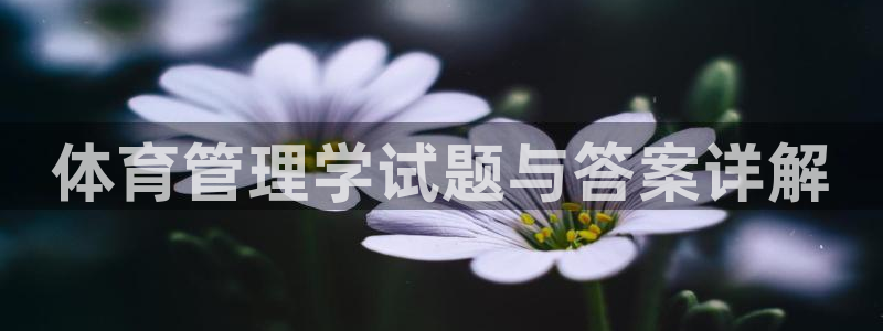 必一体育官网app