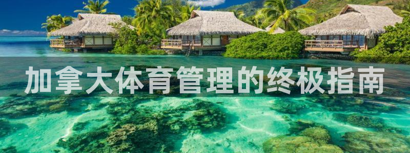 必一体育官方app下