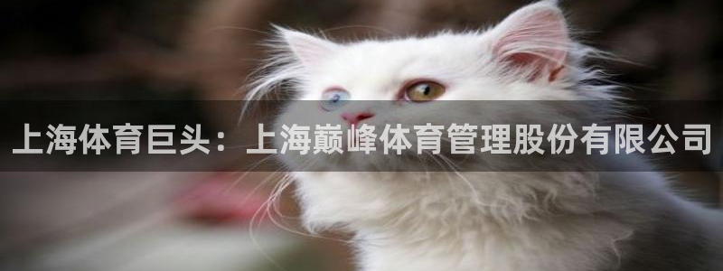 必一体育游戏玩法