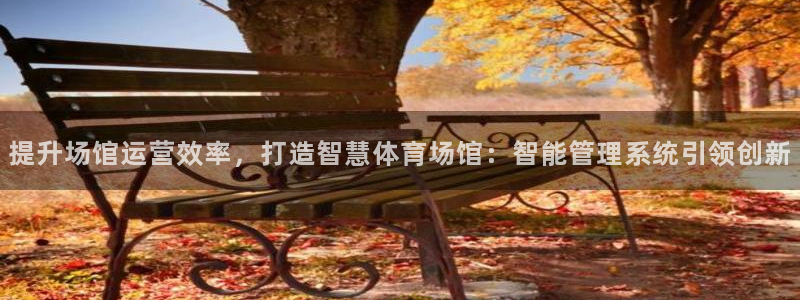必一体育手机下载：提
