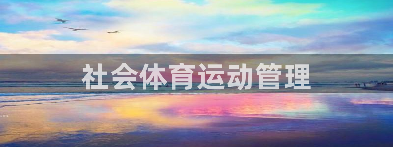 必一体育游戏特色