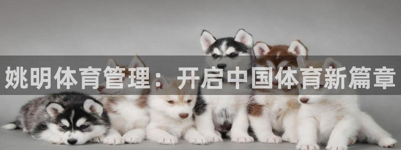 必一体育app下载装