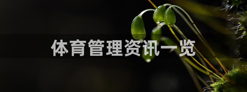 必一体育sport网页版