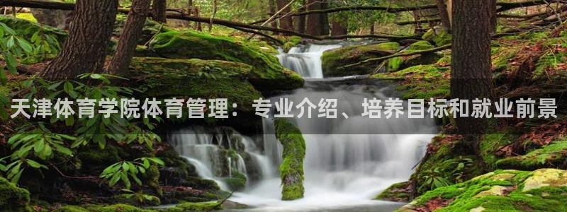 必一体育sport