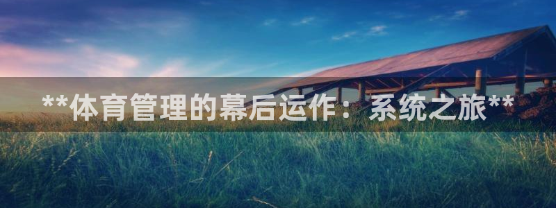 必一体育sport装