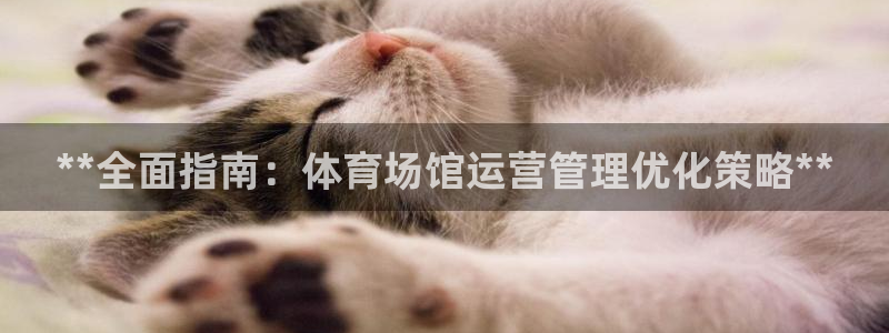 必一体育官方下载：*