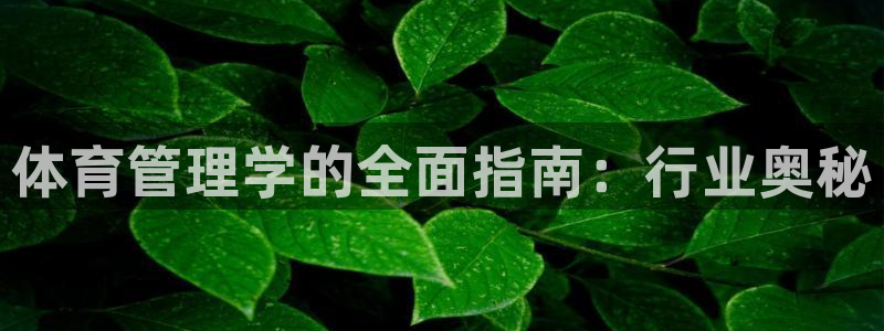 必一体育网页版登录
