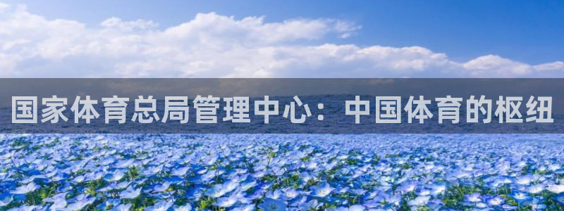 必一体育官网网站：国