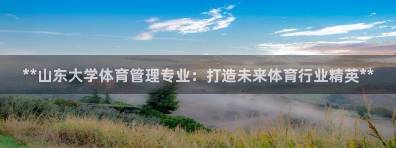 必一体育能提现大金额