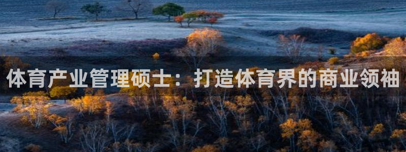 必一体育网页：体育产