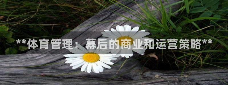 必一体育下载移动版：