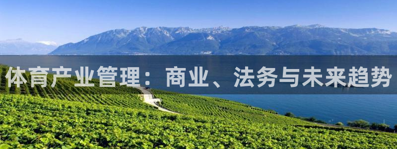 必一体育官网入口