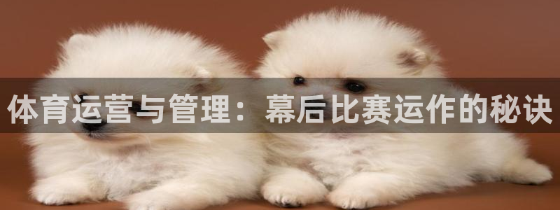 必一体育官方网站入口