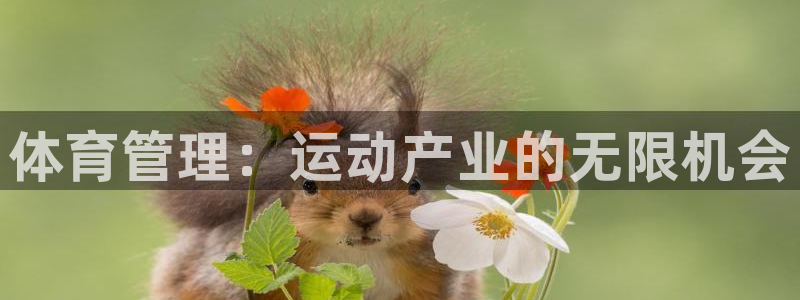 必一体育app官方网站