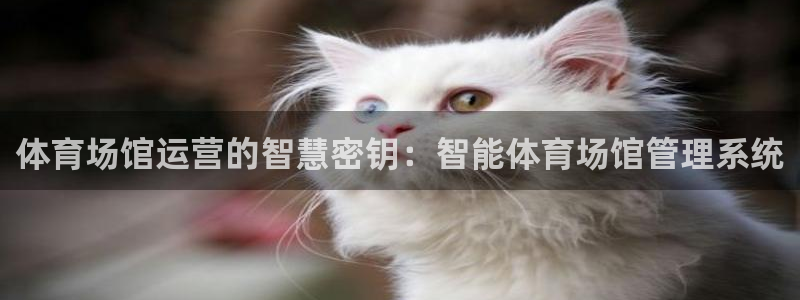 必一体育app下载