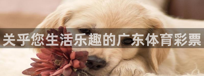 必一体育app官方下载入口