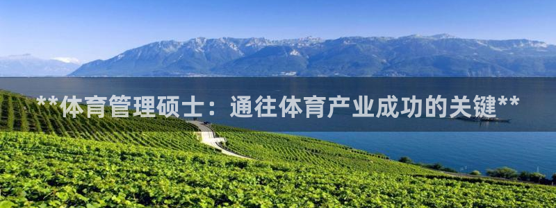 必一体育官方下载：*