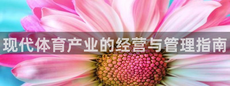 必一体育可靠吗
