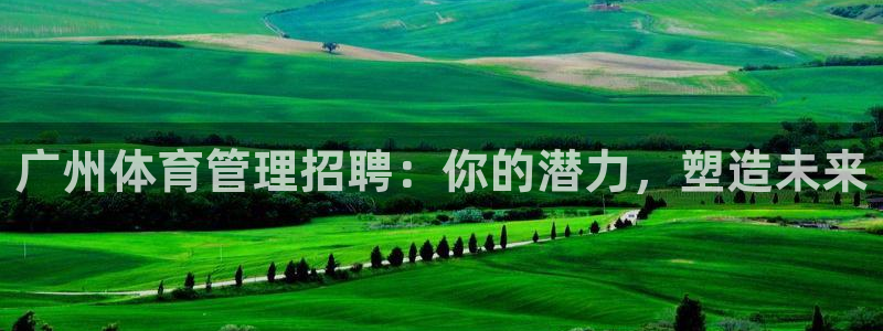 必一体育运动官网：广