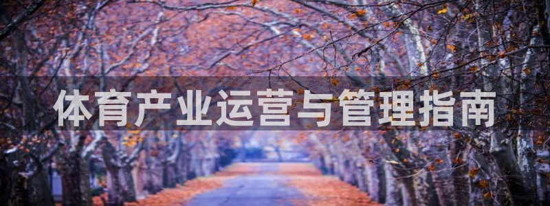 必一体育bsport