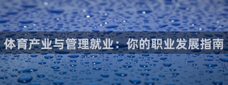 必一体育电子app