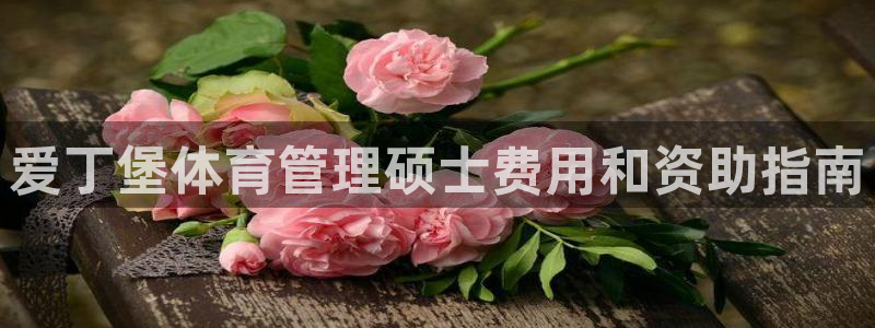 必一体育app平台下