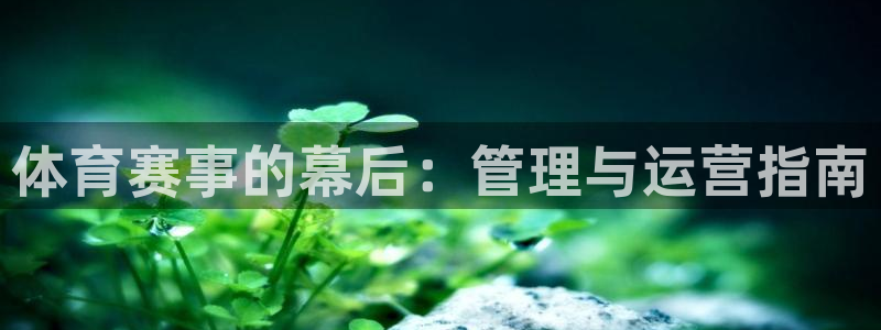必一运动体：体育赛事