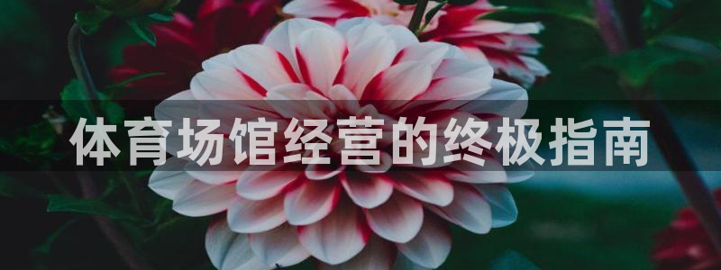 必一运动体