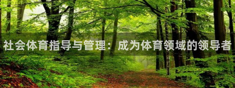 必一体育官方网站入口