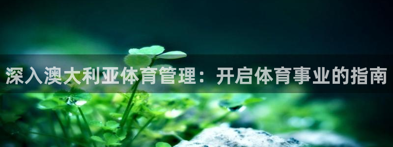 必一体育官网入口：深