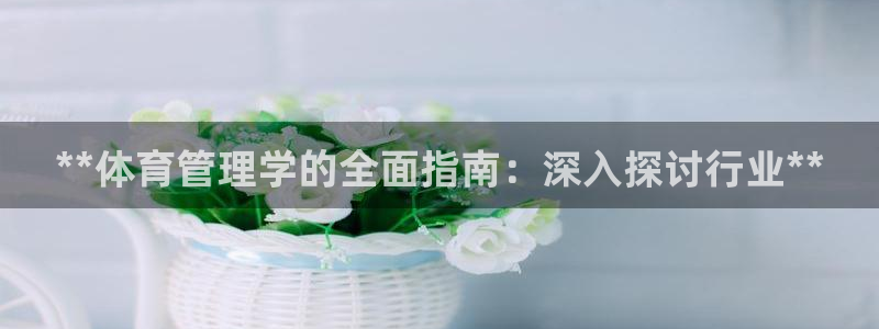 必一体育app官方下载