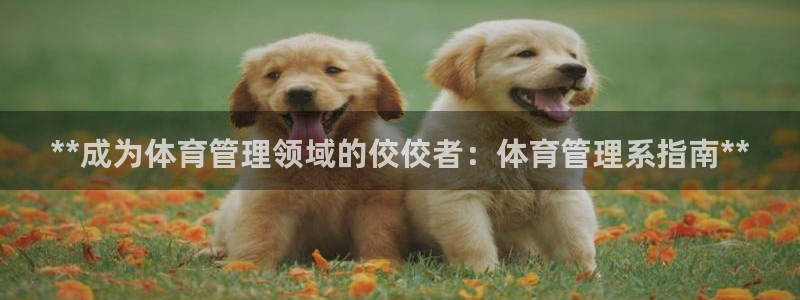 必一体育在线入口：*