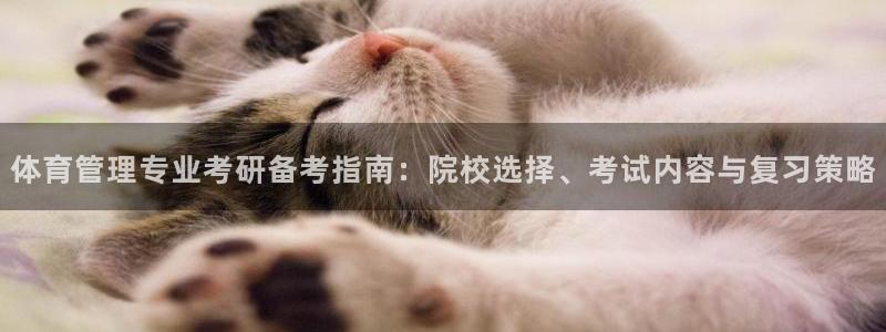 必一体育怎么下载：体