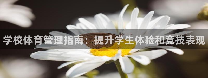 必一体育运动app