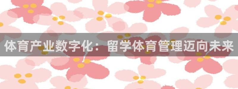 必一体育运动平台官网