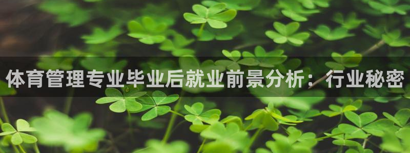必一运动体育官网下载