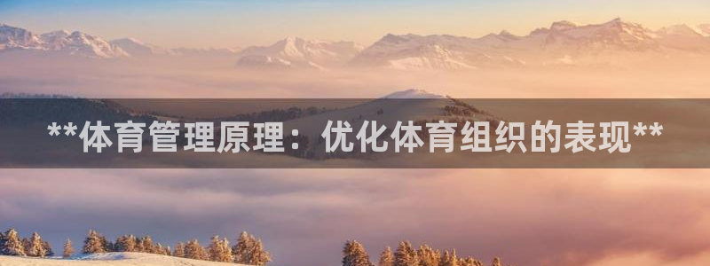 必一体育运动下载：*