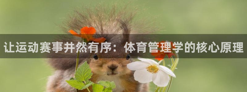 必一体育sport