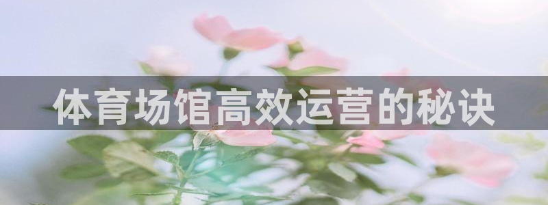 必一体育官方下载入口