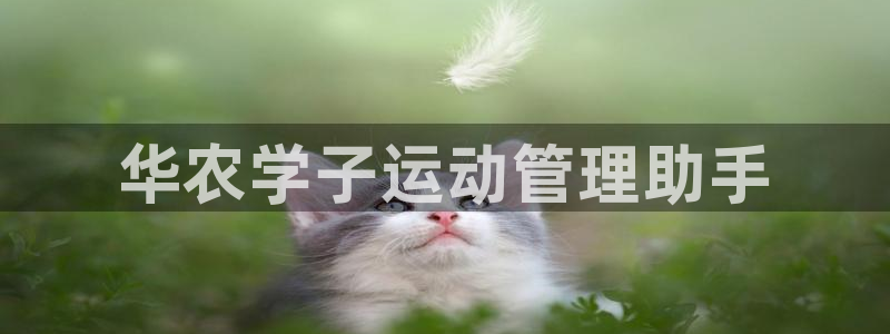 必一体育bsport下载