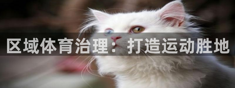 必一运动 b 体育素描版