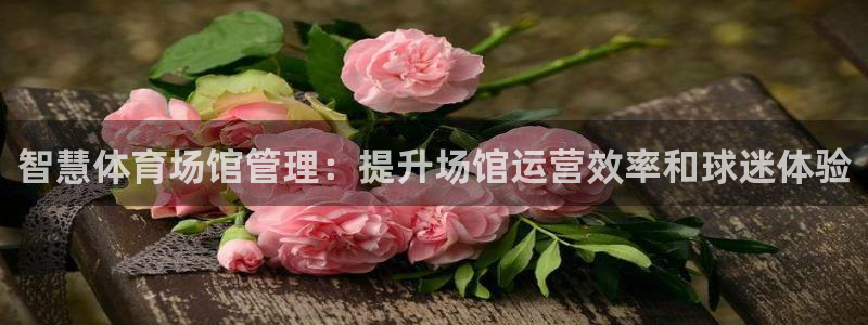 必一体育网址：智慧体