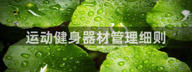 必一体育可靠吗：运动