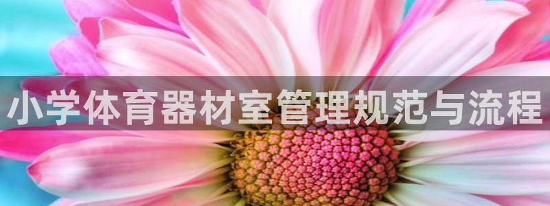 必一体育流水线是什么