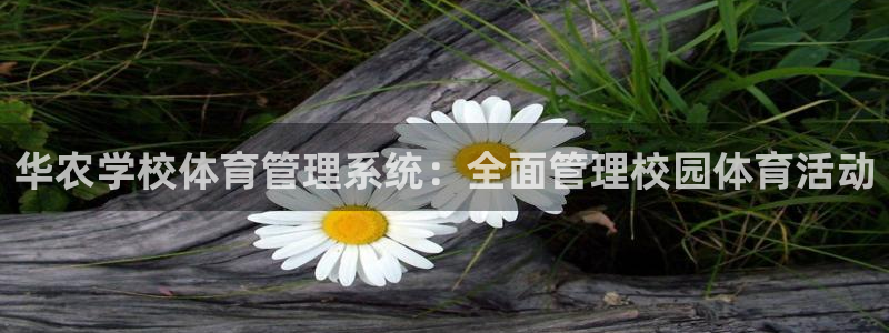 必一运动官网装机吧